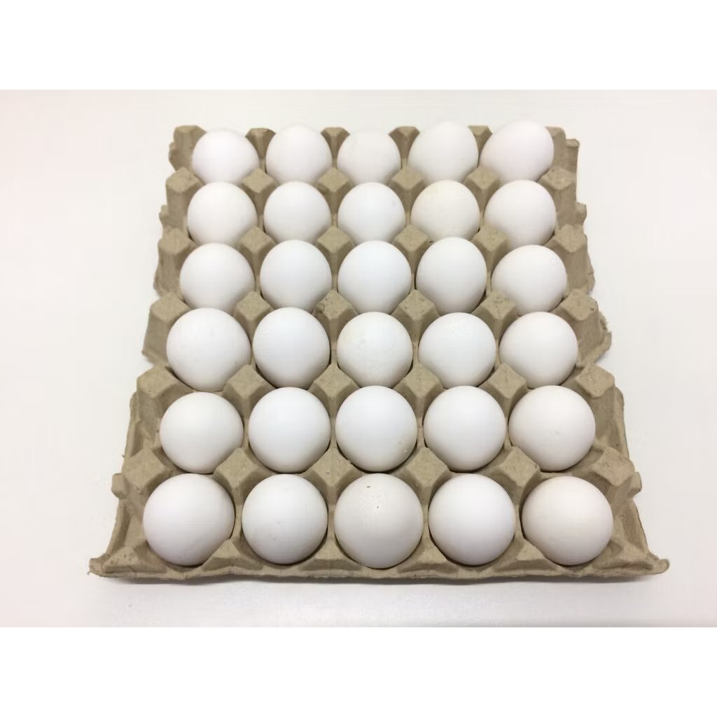 Fresh Eggs (Medium)